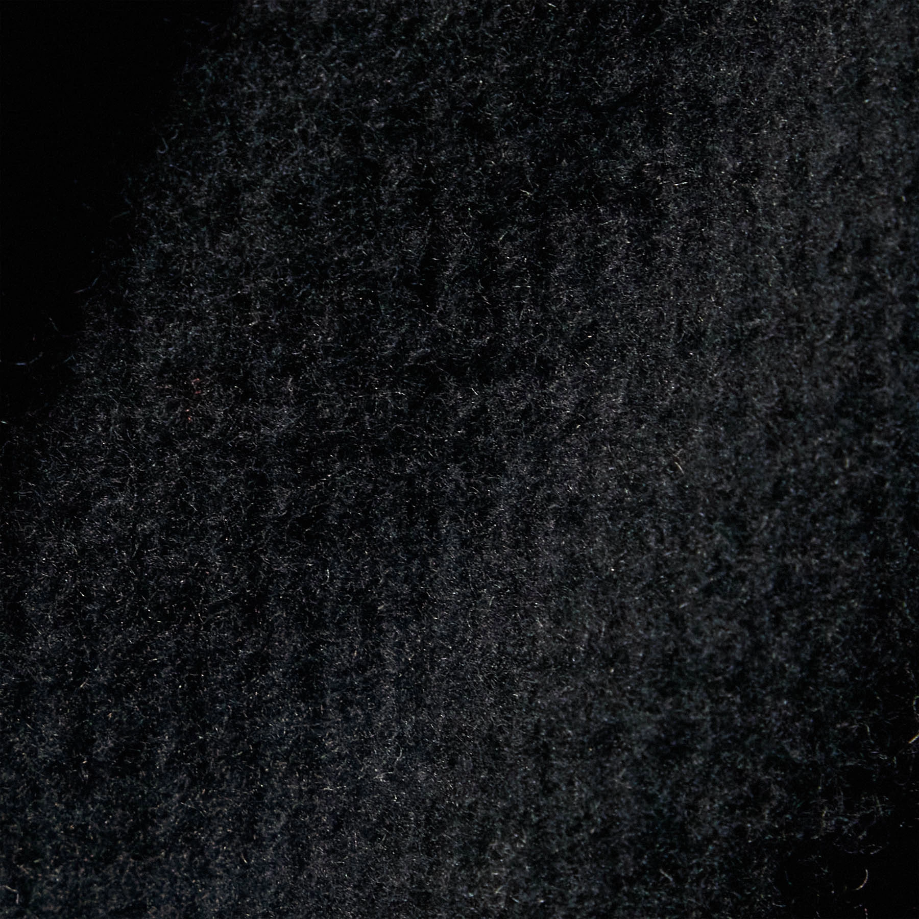 Brushed Thermal Sweat Pant - Black