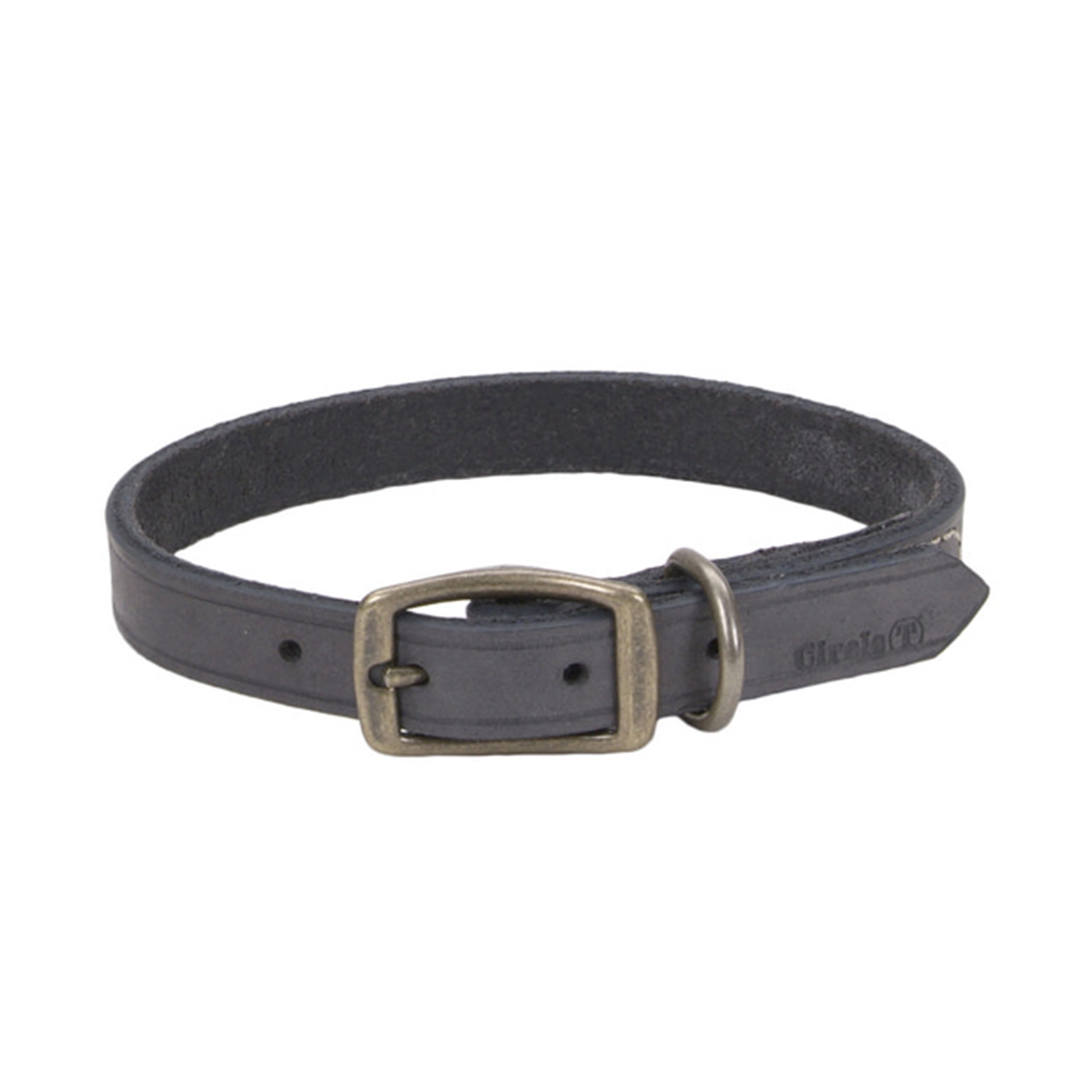 Circle T® Rustic Leather Town Dog Collar, Small