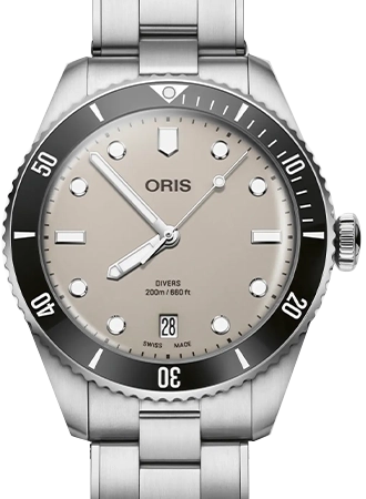 Divers Date Brown Ref. 01 733 7795 4051-Set
