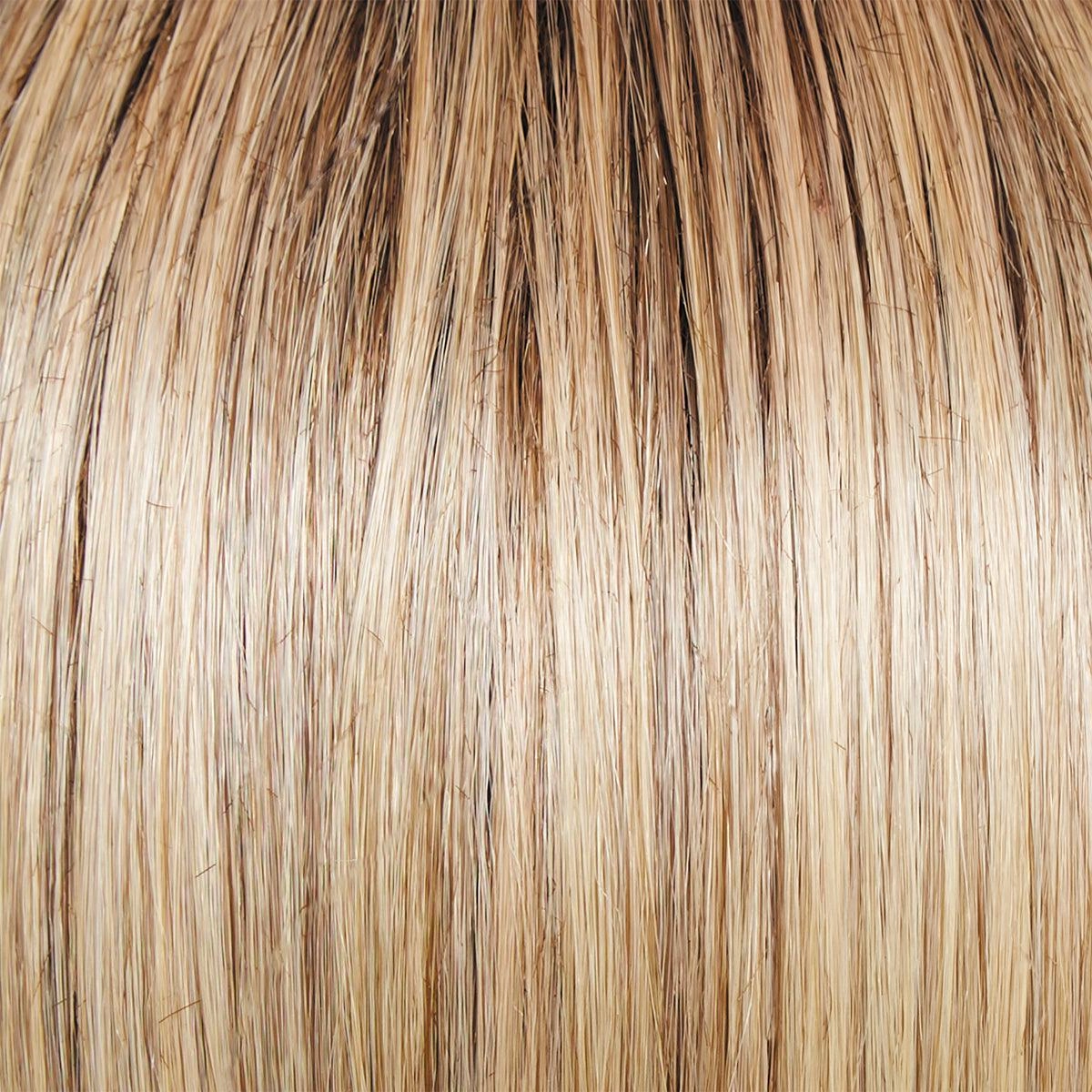 Editor's Pick Elite Wig by Raquel Welch | 100% Hand Tied Heat Friendly Synthetic Lace Front (Mono)