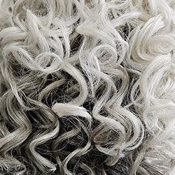 Editor's Pick Elite Wig by Raquel Welch | 100% Hand Tied Heat Friendly Synthetic Lace Front (Mono)