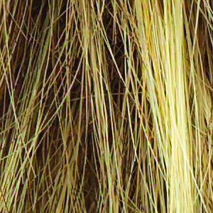 Miles of Style Wig by Raquel Welch | Synthetic (Lace Front Mono Part)
